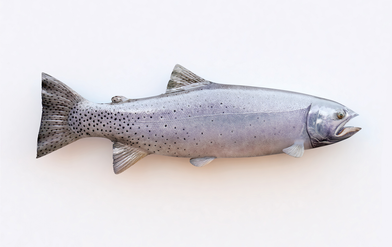 KEVIN – Théâtre dès 12 ans